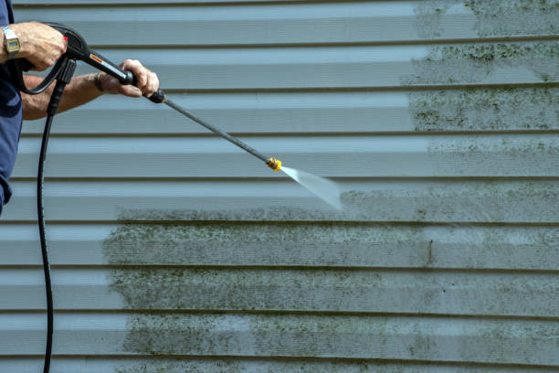 Best Local Pressure Washing Services  in Reedurban, OH
