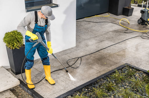 Best Local Pressure Washing Services  in Reedurban, OH