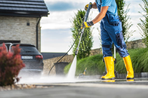 Best Roof Pressure Washing  in Reedurban, OH