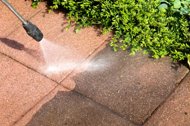 Roof Power Washing Services in Reedurban, OH